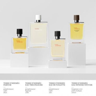 Hermès - Profumo Web