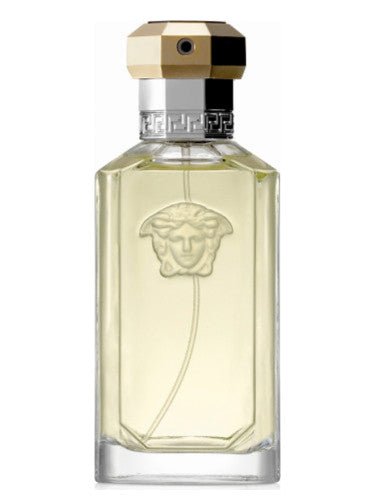 Versace The Dreamer 100ML TESTER - Profumo Web